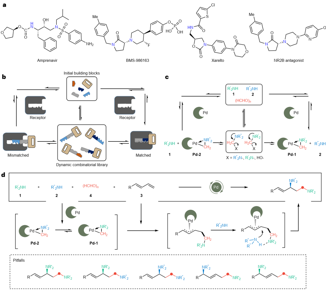 中科大「國家杰青」黃漢明，最新Nature Chemistry！