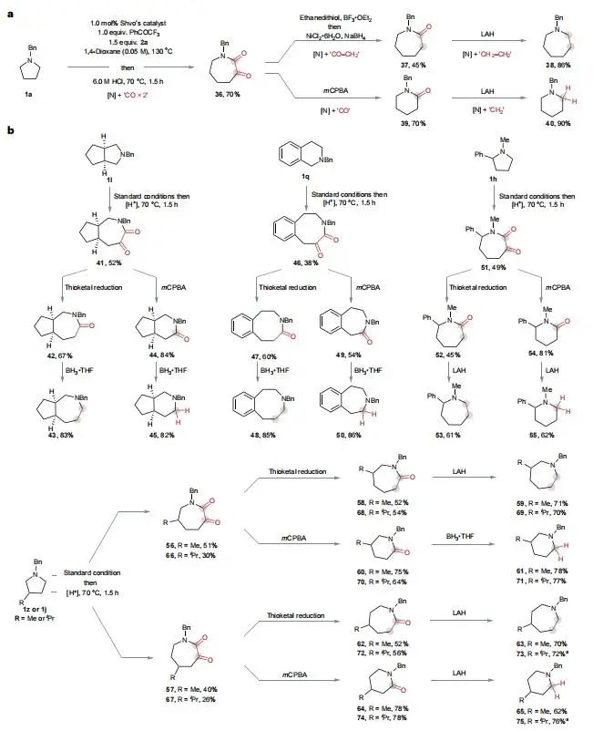 他，留學MIT/耶魯，博畢5年任211教授/「國家高層次青年人才」，新發Nature Chemistry！