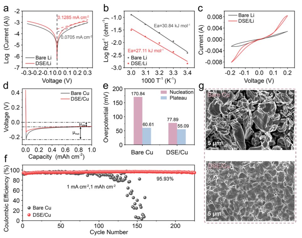 他，曾破格晉升教授，現(xiàn)任985高校院長，新發(fā)JACS：打造無枝晶鋰負極！