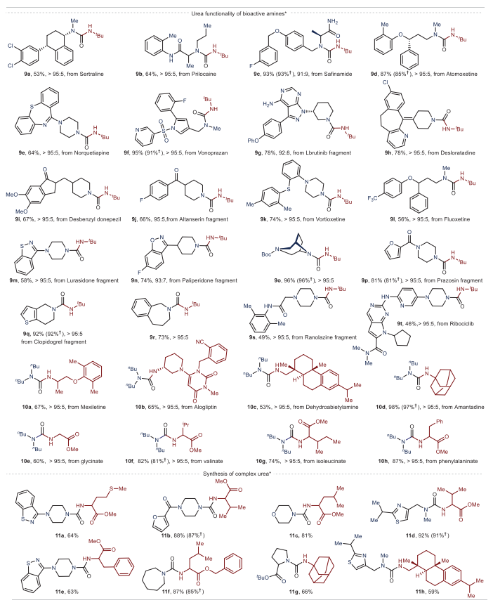 重磅！中科院蘭州化物所，首篇Science！