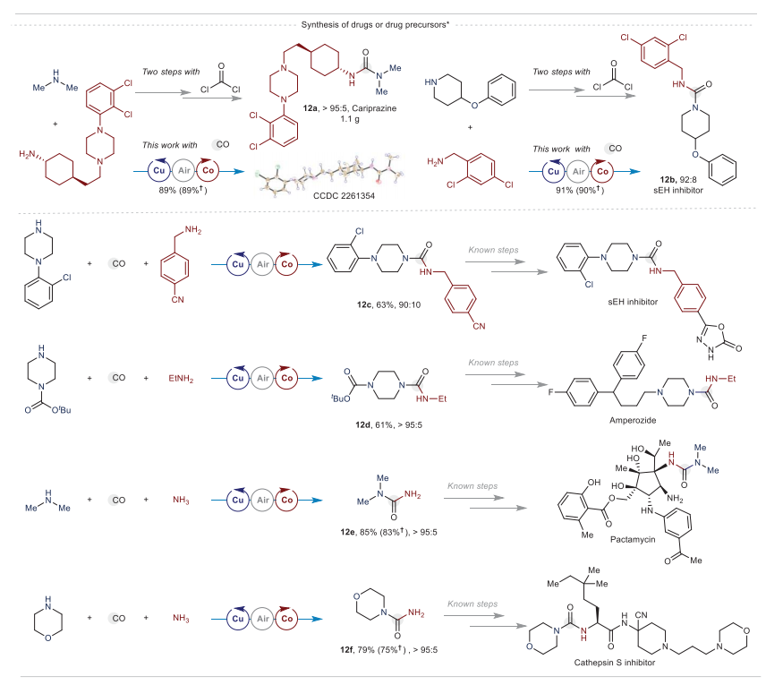 重磅！中科院蘭州化物所，首篇Science！