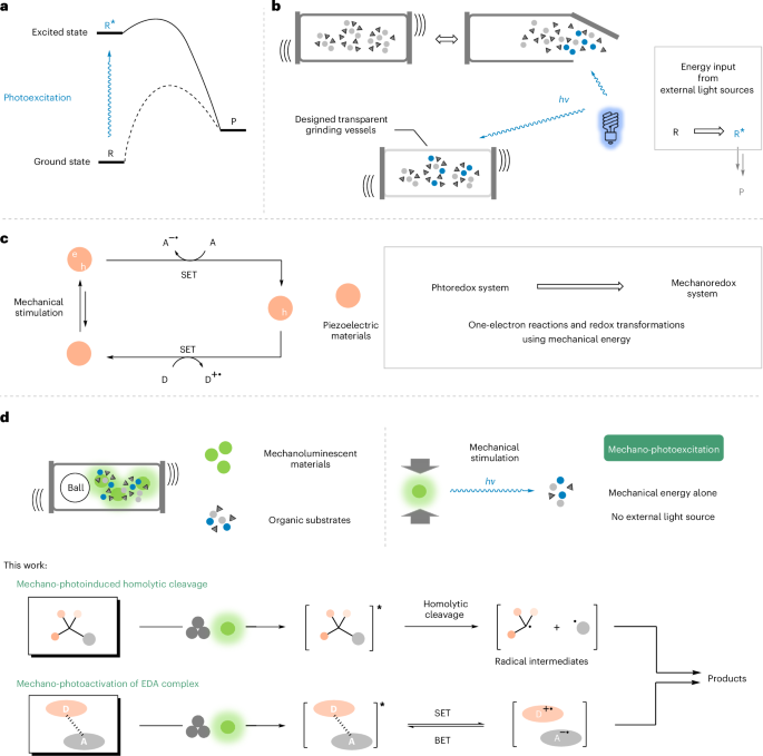 第一單位！西北大學，新發Nature Synthesis！！
