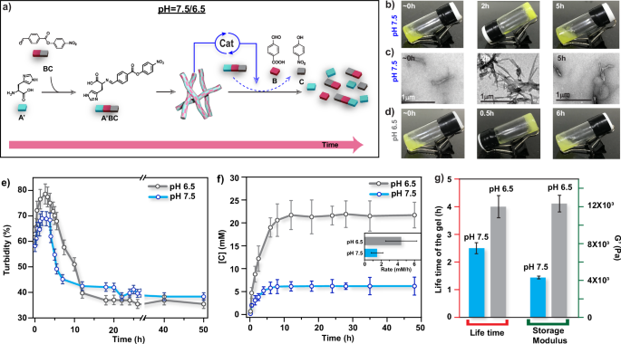 自組裝！這個團(tuán)隊，連發(fā)Nature綜述、JACS，最新成果又登Nature子刊！