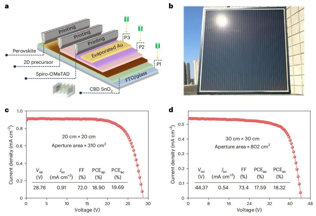 后浪！他，「90后」博導，211「國家優青」，聯手「國家杰青」，新發Nature Energy！
