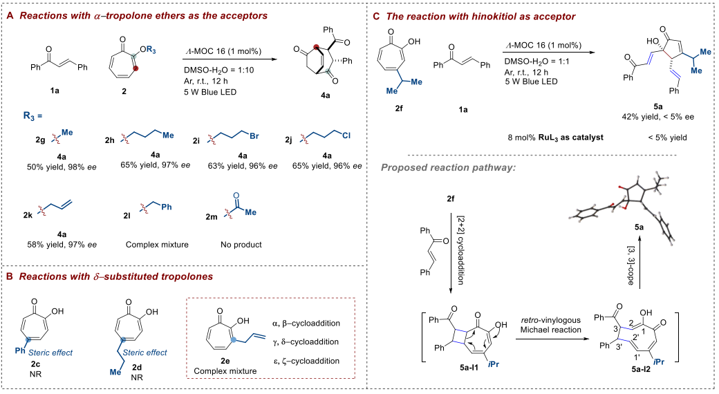 籠狀光催化劑！中山大學(xué)「國(guó)家杰青」蘇成勇，新發(fā)JACS！
