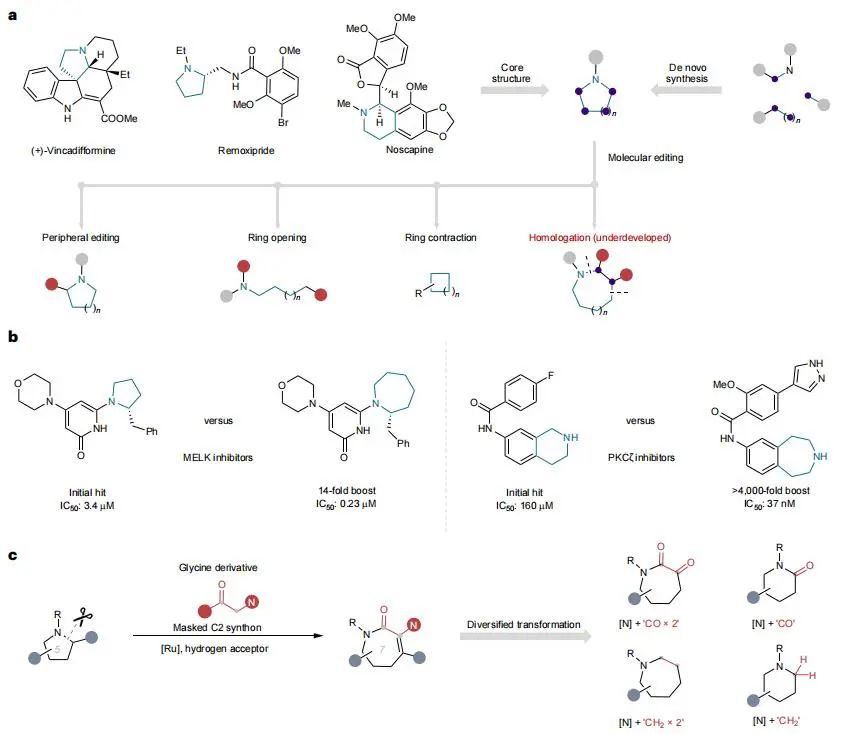 他，留學MIT/耶魯，博畢5年任211教授/「國家高層次青年人才」，新發Nature Chemistry！