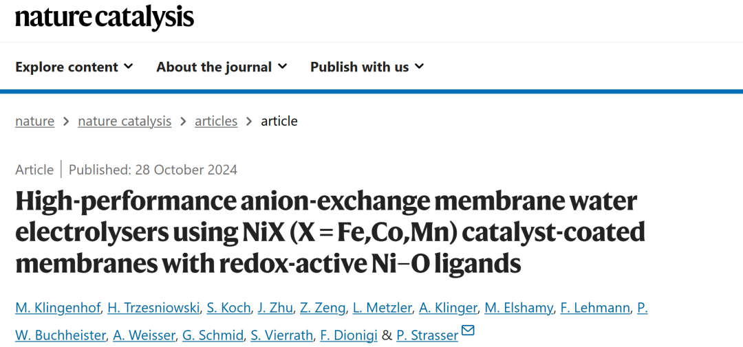 催化大牛P. Strasser，新發Nature Catalysis！