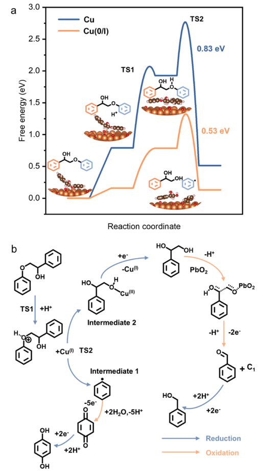 她，博畢4年即任985教授、獲「國家優青」，新發今年第4篇JACS！