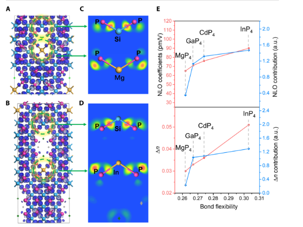 突破！這所雙非，今年首篇Science Advances！
