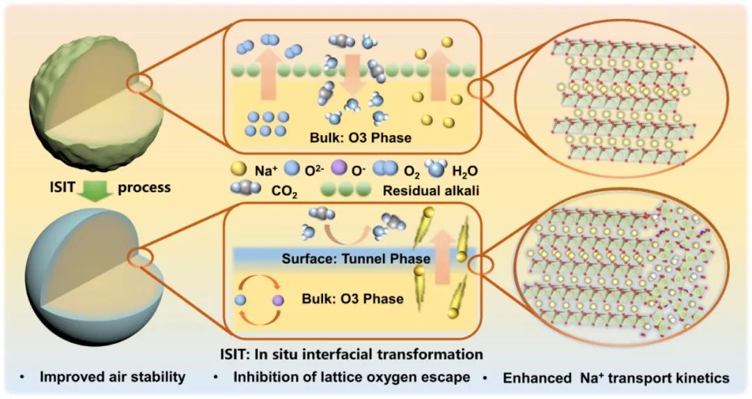 碩士生一作！溫大侴術雷教授團隊，最新JACS！