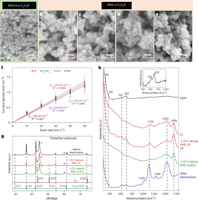 電催化，Nature Catalysis！
