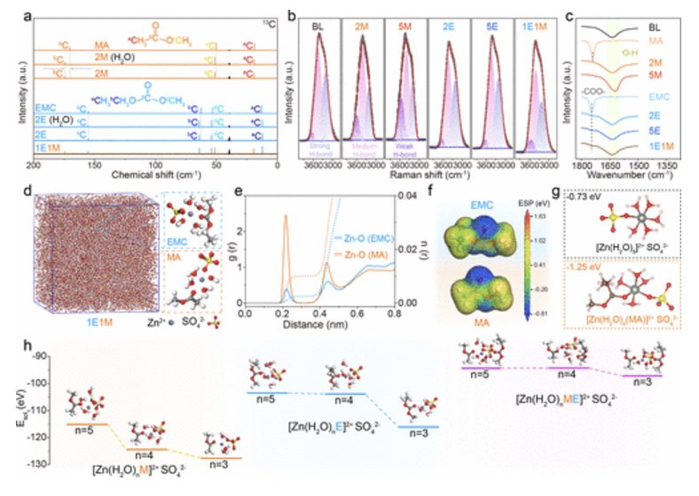 【MS發頂刊】東北師大，JACS！分子協同效應介導高效界面化學實現無枝晶鋅陽極！