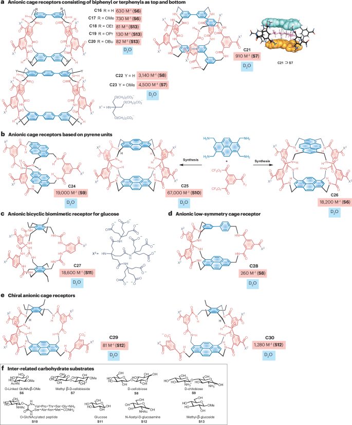 作者僅3人！中山大學，新發Nature Reviews Chemistry！