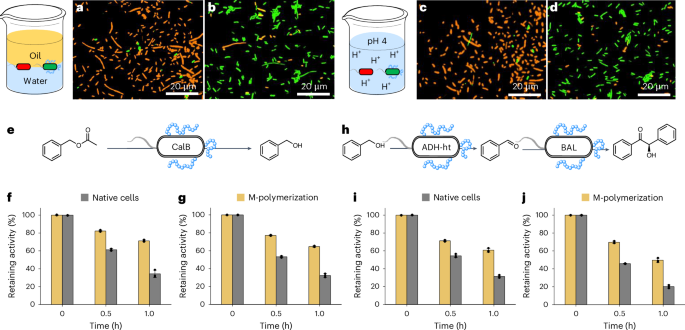 安農大校友，登頂Nature Catalysis！