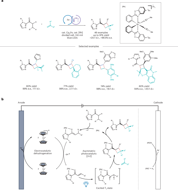 廈門大學, Nature Catalysis評論文章！