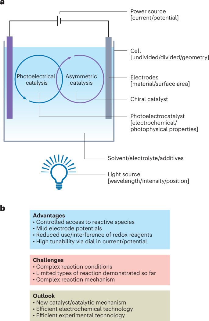 廈門大學, Nature Catalysis評論文章！