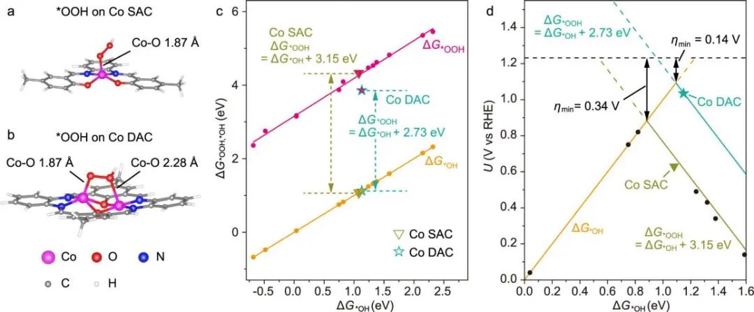 打破約束！他，回國即博導(dǎo)/獨(dú)立PI、「國家高層次人才」，最新JACS！
