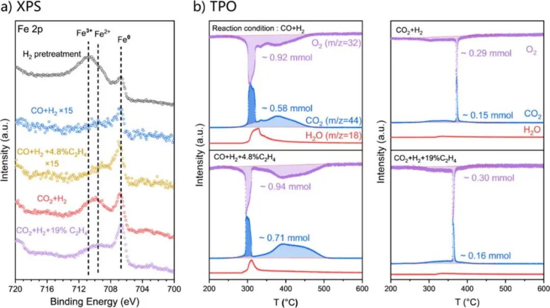 北京大學(xué)馬丁/王蒙，新發(fā)ACS Catalysis！