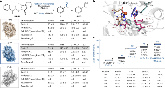 效法自然，生物催化！他，科大校友/霍普金斯教職，繼Science后，再發Nature Catalysis！