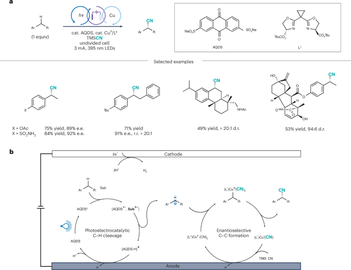 廈門大學, Nature Catalysis評論文章！