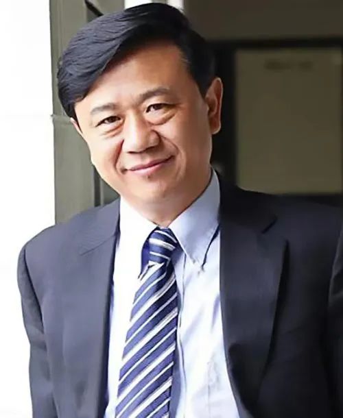 超強性能！他，三院院士，能源材料領域頂尖科學家，H因子高達132！重磅Nature Materials！