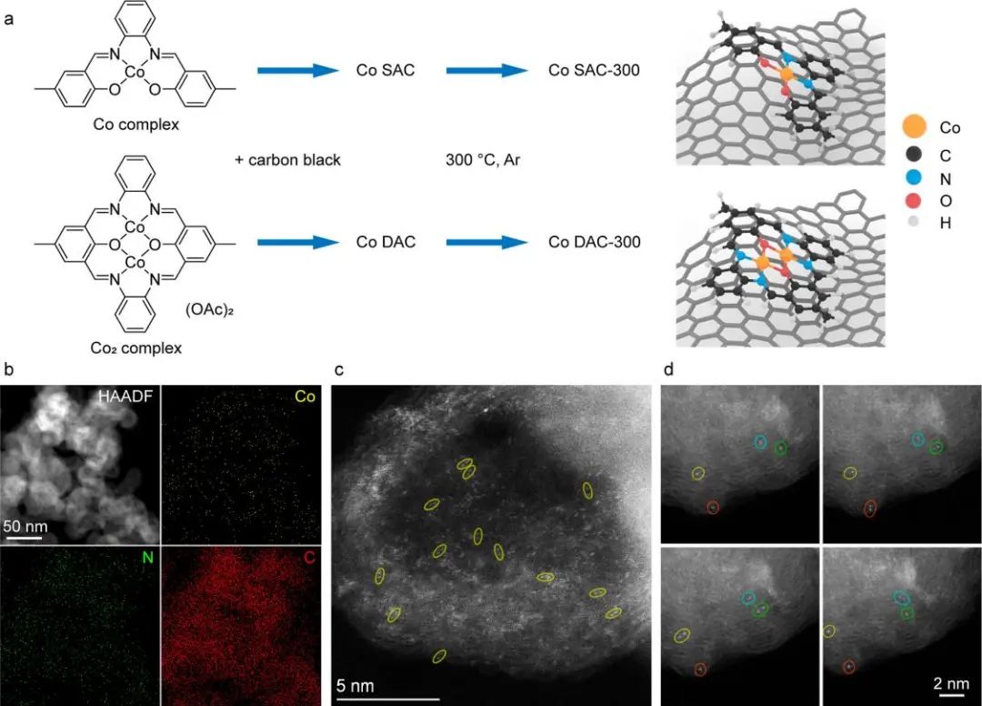 打破約束！他，回國即博導(dǎo)/獨(dú)立PI、「國家高層次人才」，最新JACS！