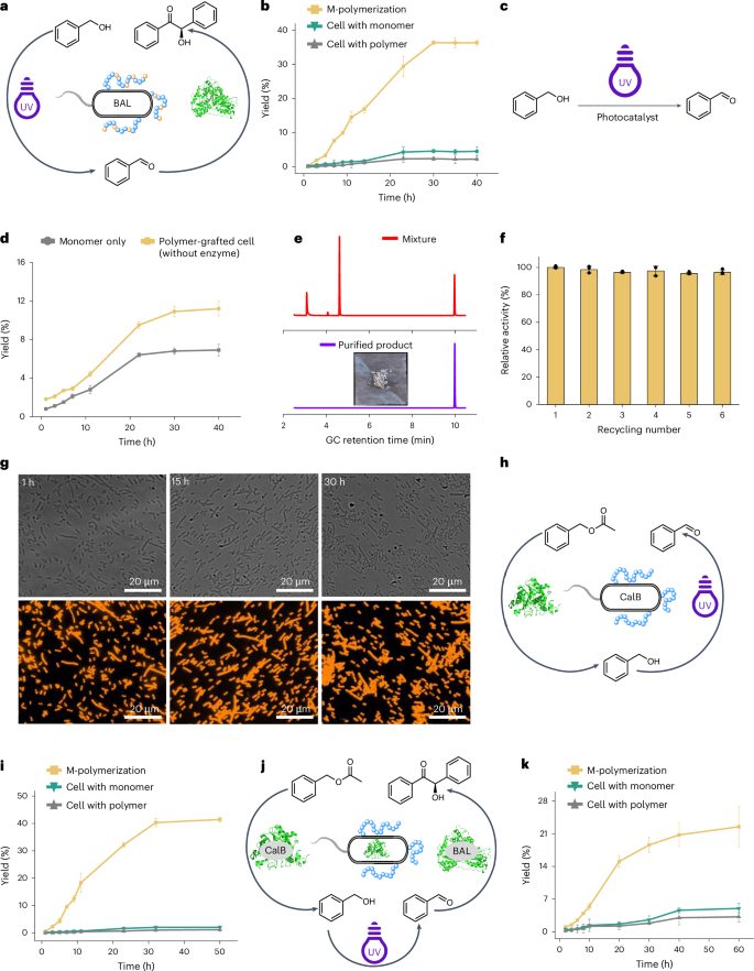 安農大校友，登頂Nature Catalysis！