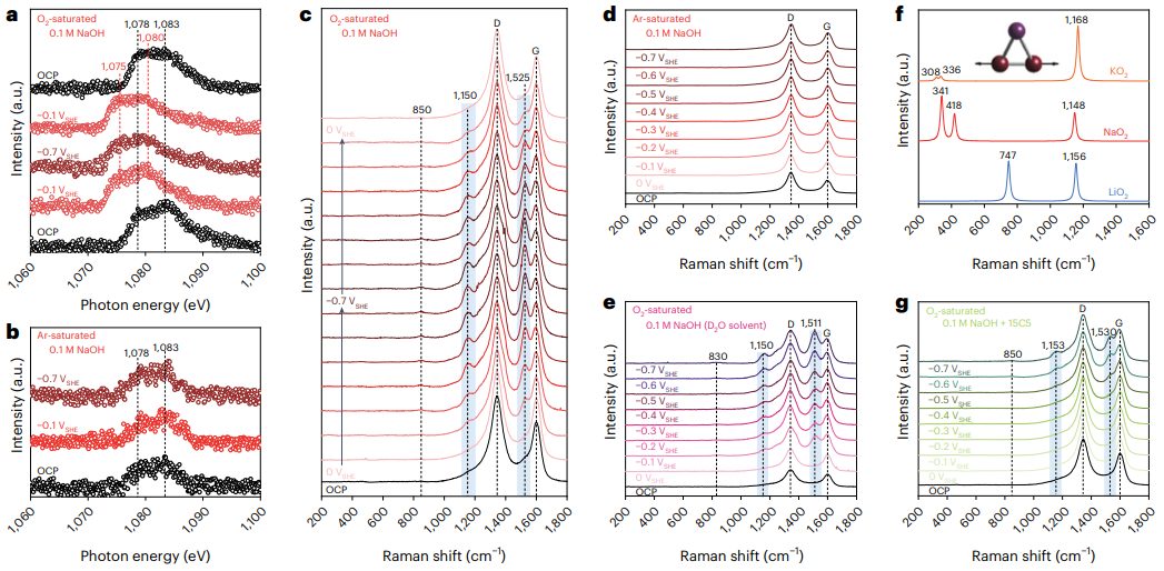 顛覆認知！他，師從催化大牛，首席研究科學家，新發Nature大子刊！