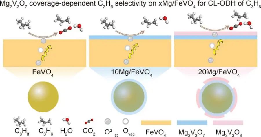 鞏金龍，最新ACS Catalysis！