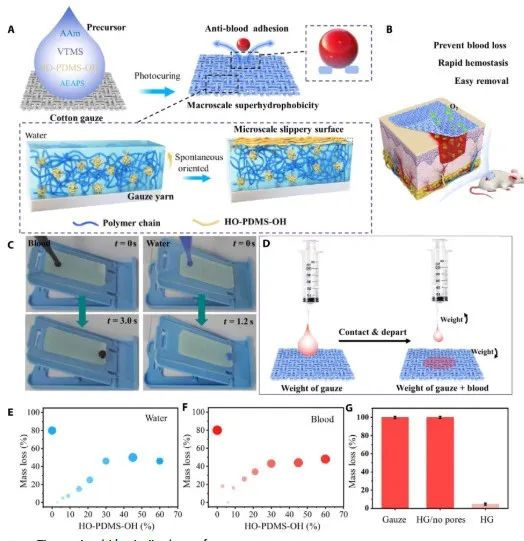第一完成單位！這所雙非高校，新發Science子刊！