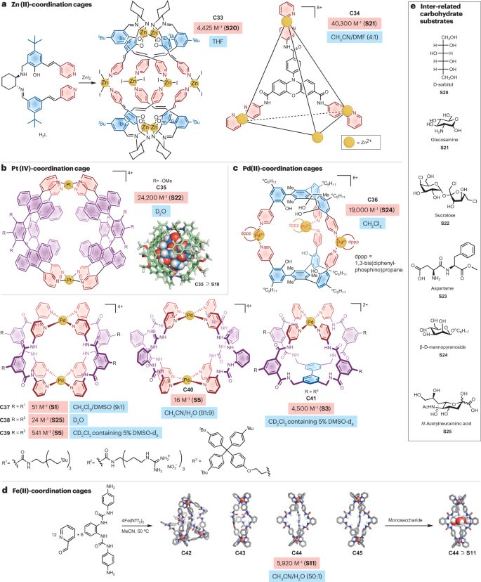 作者僅3人！中山大學，新發Nature Reviews Chemistry！