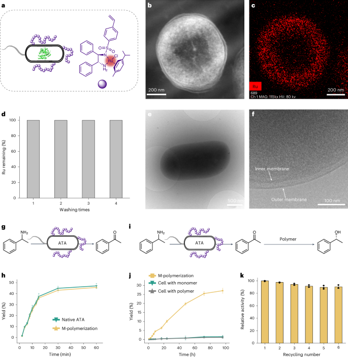 安農大校友，登頂Nature Catalysis！