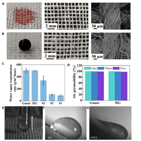 第一完成單位！這所雙非高校，新發Science子刊！