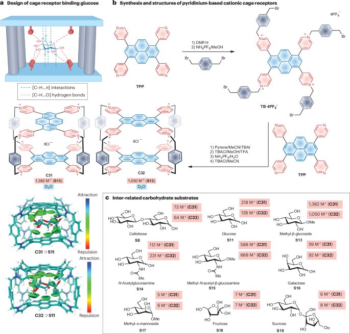 作者僅3人！中山大學，新發Nature Reviews Chemistry！