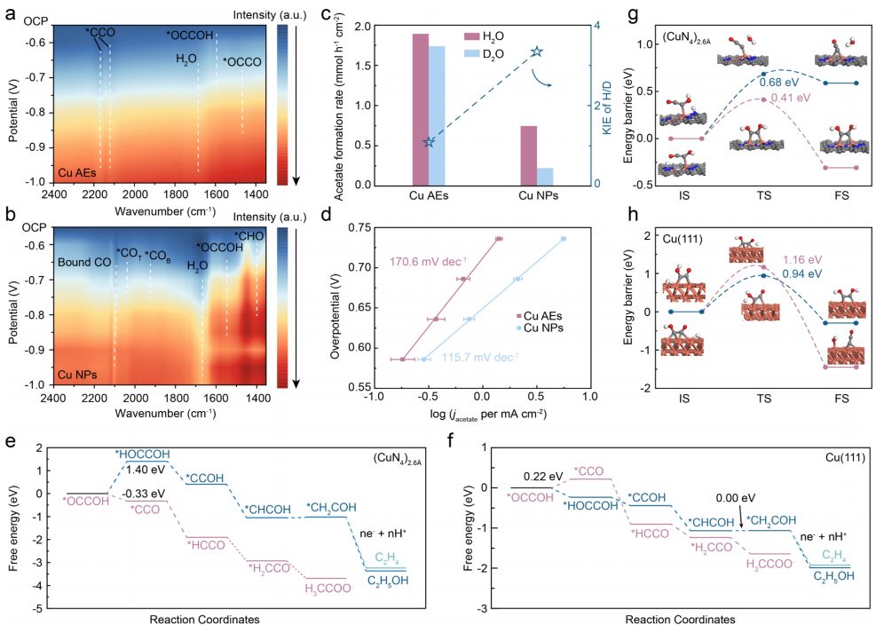 化學所韓布興院士&孫曉甫，最新JACS！