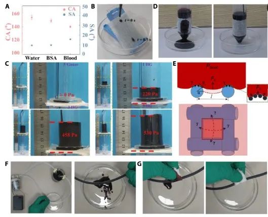 第一完成單位！這所雙非高校，新發Science子刊！