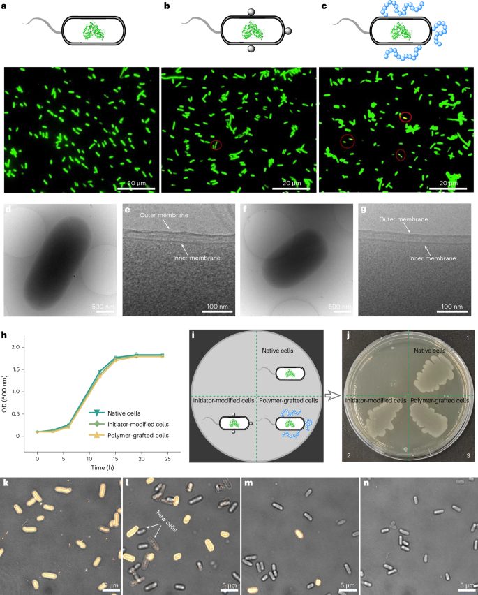 安農大校友，登頂Nature Catalysis！