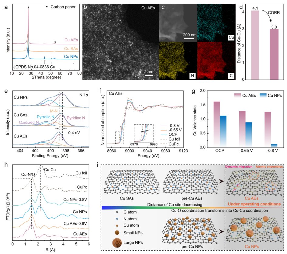 化學所韓布興院士&孫曉甫，最新JACS！