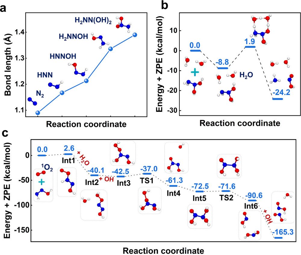 院士領銜! 廈門大學新晉「國家優青」，最新JACS！