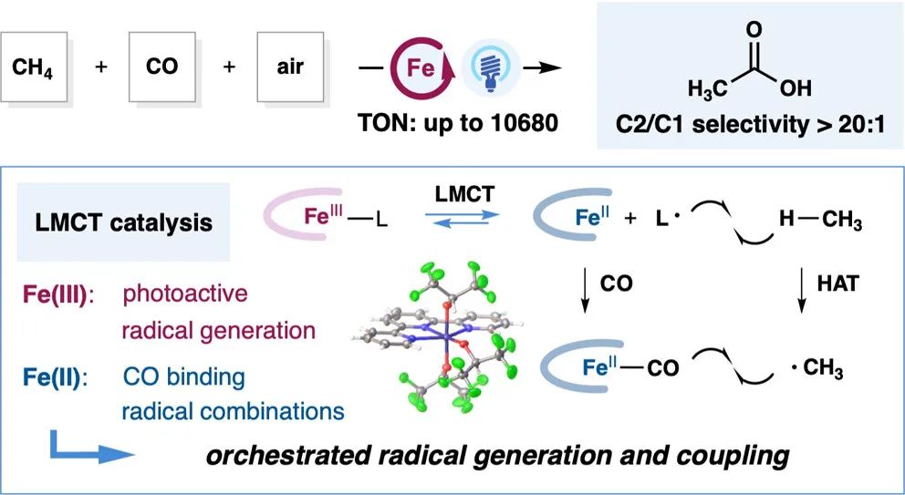 又帥又牛！他，手握2篇Science，博畢3年即研究員、9年「國家杰青」，最新JACS！