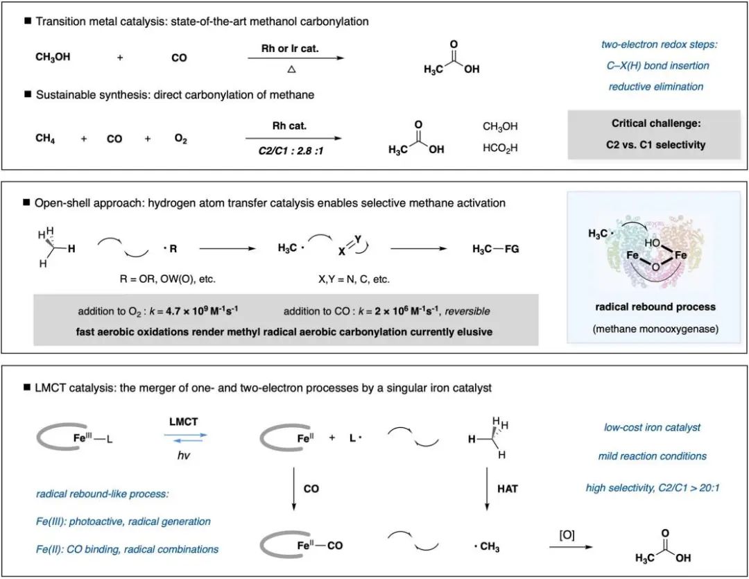 又帥又牛！他，手握2篇Science，博畢3年即研究員、9年「國家杰青」，最新JACS！