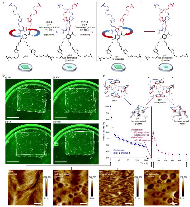 曼斯切斯特大學/華東師范大學，今日Nature！