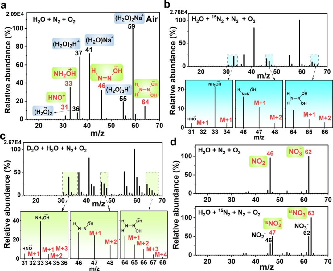 院士領銜! 廈門大學新晉「國家優青」，最新JACS！