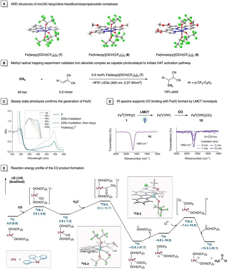 他，手握2篇Science，中科院上海有機化學研究所左智偉，發表JACS！