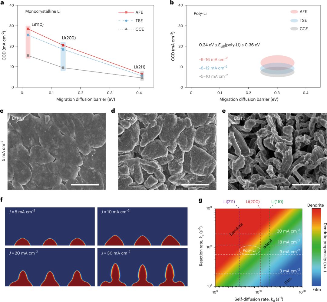 多晶鋰→單晶鋰！上海交通大學/天津大學/寧德時代/阿貢，最新Nature Synthesis！