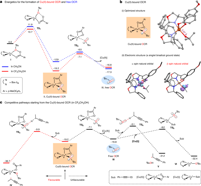上海有機所，Nature Catalysis！