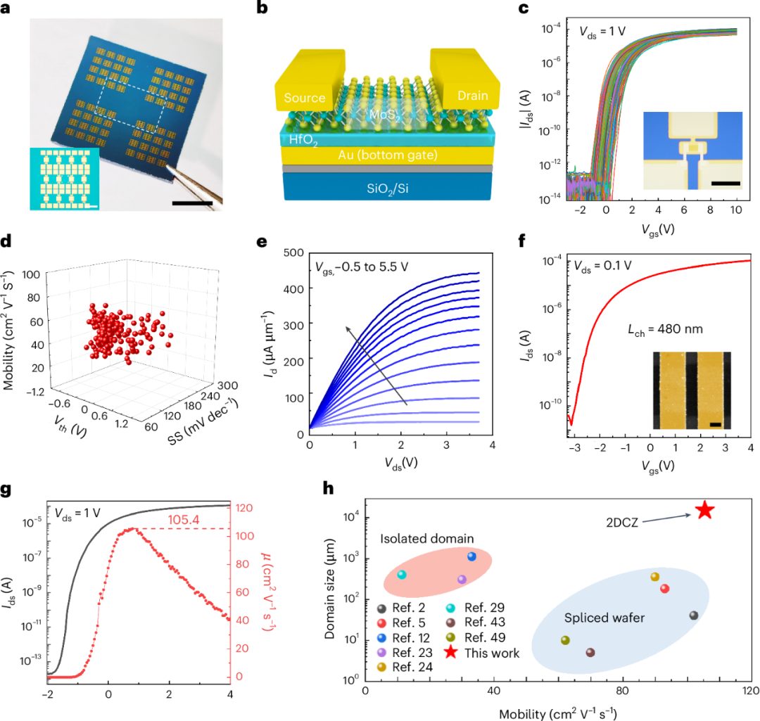 博士生一作！北京科技大學(xué)，2025年首篇Nature Materials！