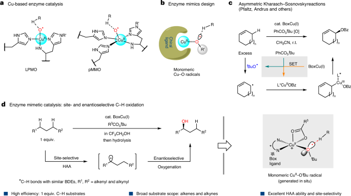 上海有機所，Nature Catalysis！