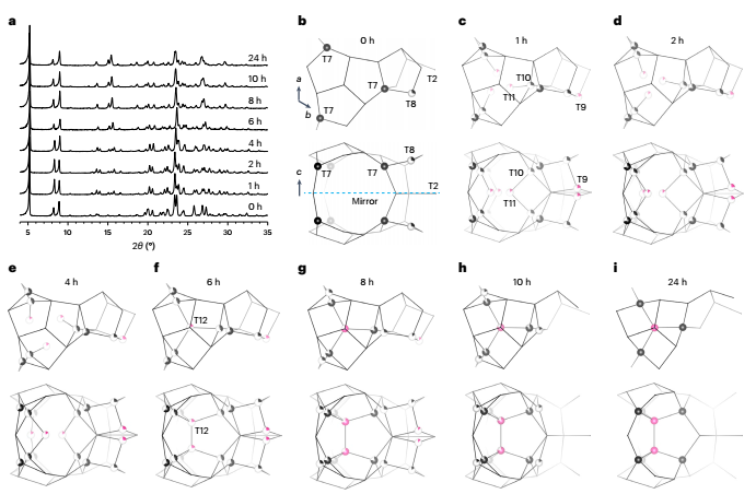 鄒曉冬院士/華東師大「長江/杰青」吳鵬，最新Nature Synthesis！