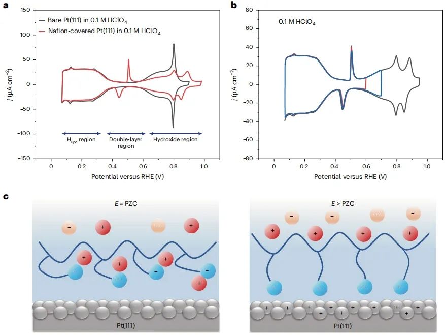 歷時11個月！北大「長江特聘」聯手「國家高層次人才」，2025年首篇Nature Catalysis！